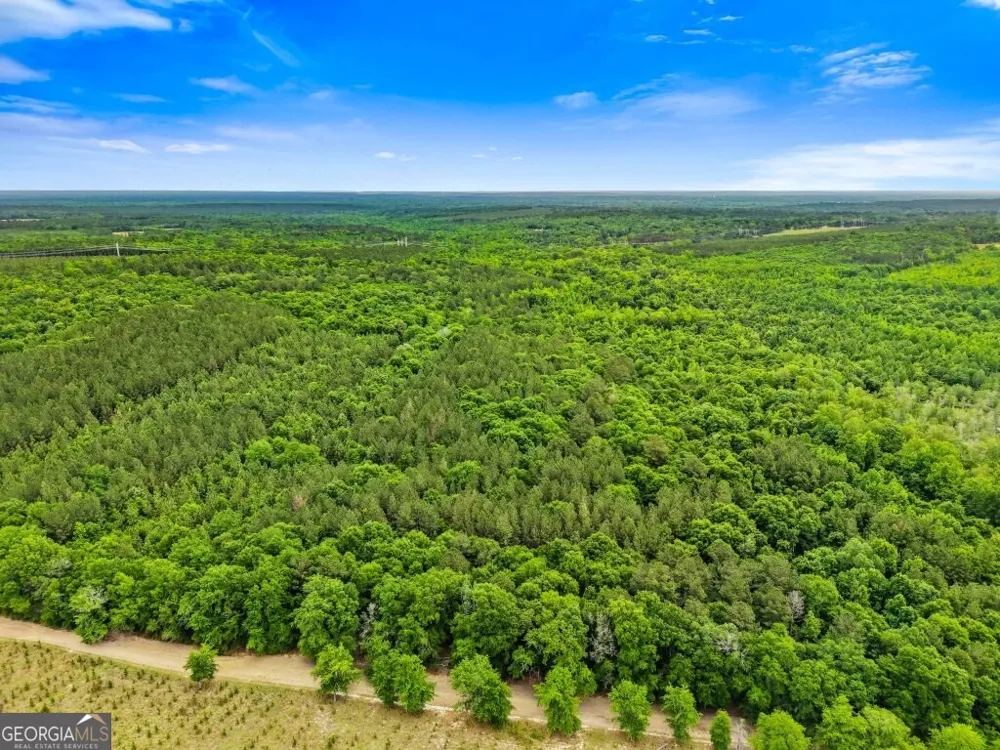 0 River RD Waynesboro, GA 30830