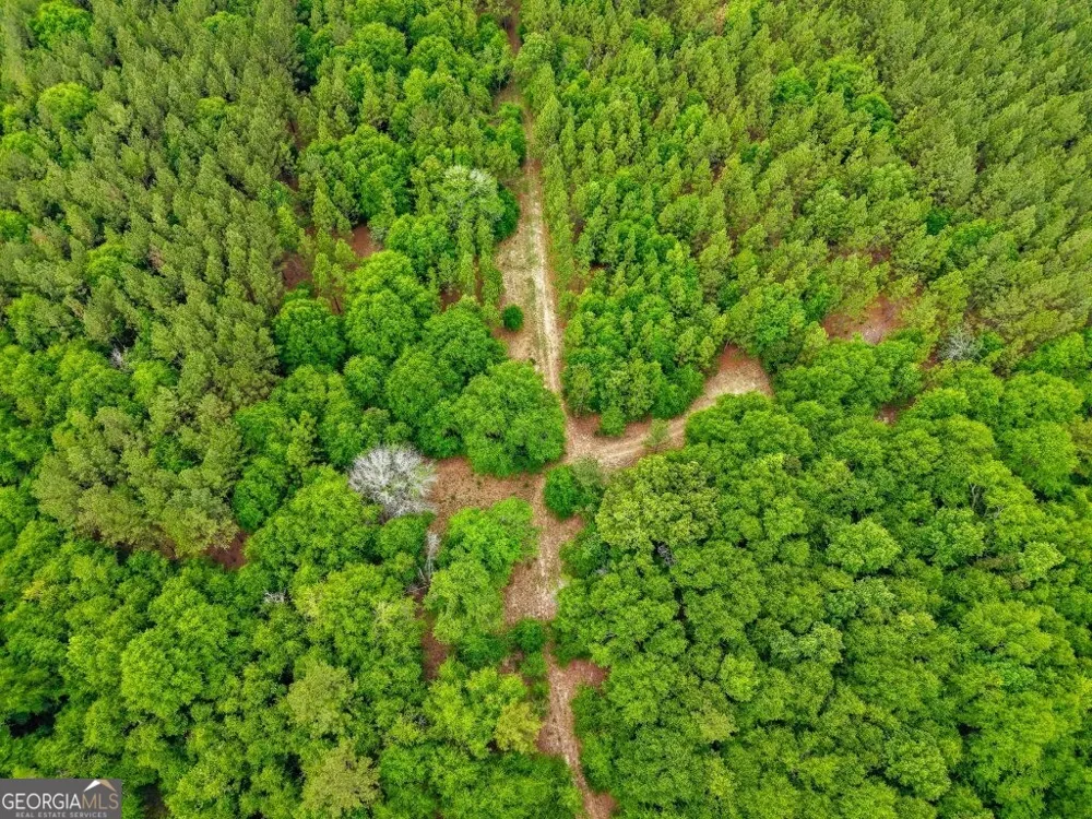 0 River RD Waynesboro, GA 30830