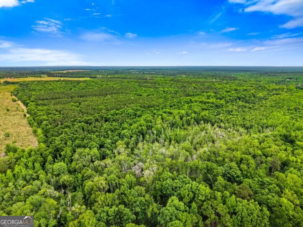 0 River RD Waynesboro, GA 30830