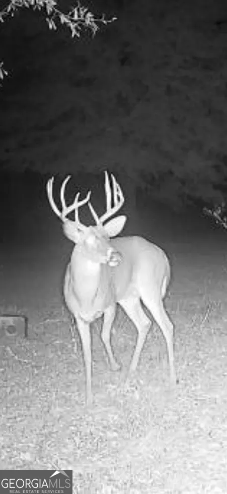 0 River RD Waynesboro, GA 30830