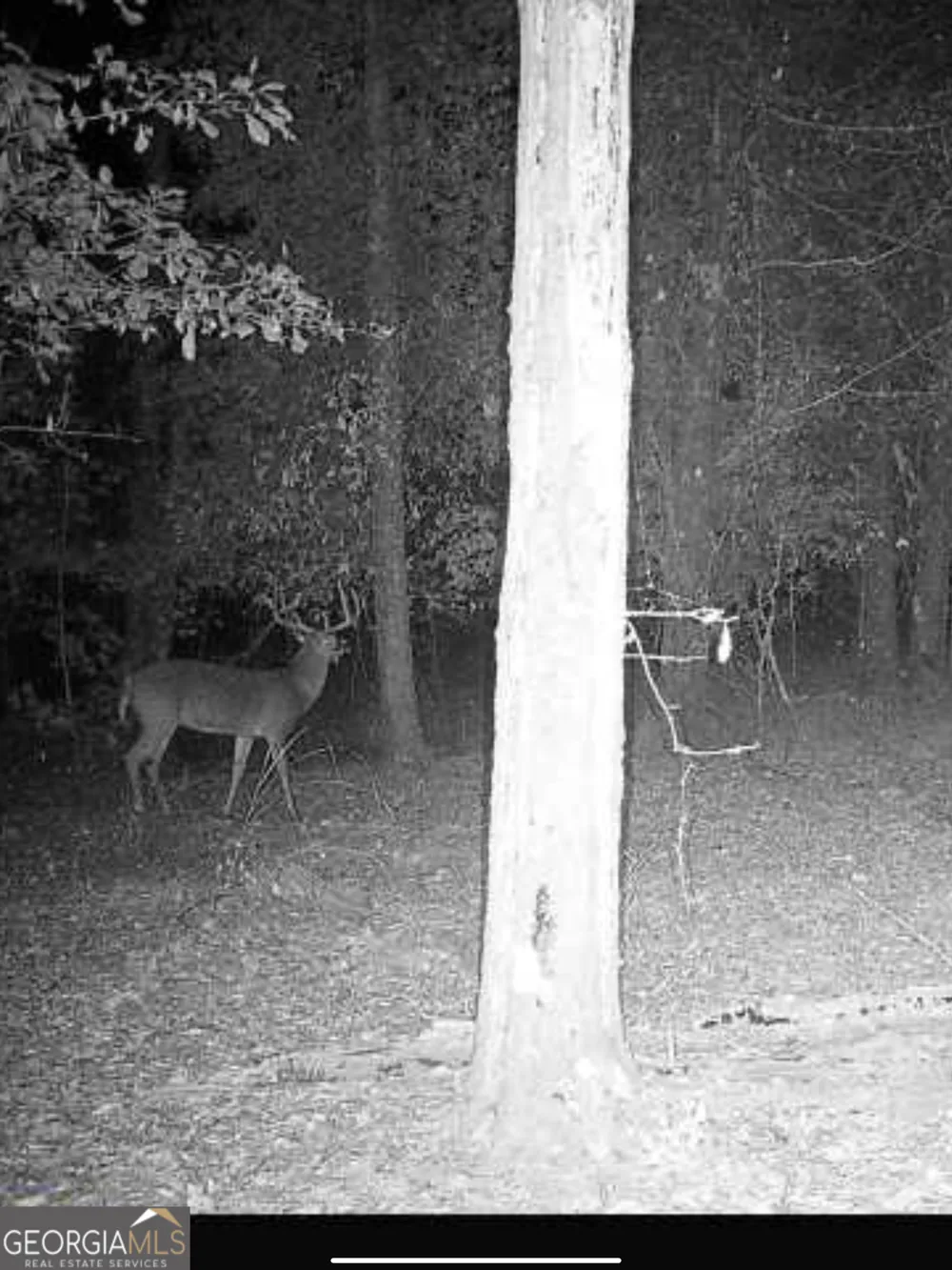 0 River RD Waynesboro, GA 30830