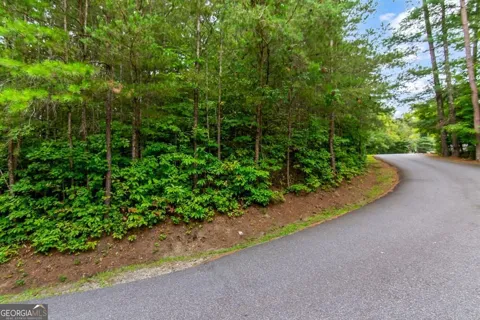 LOT 9 Laurel Creek TRL