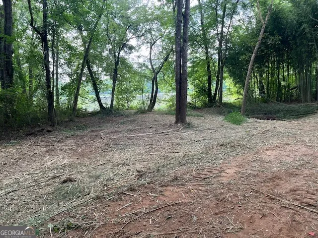 0 Sportsman Club Hogansville, GA 30230
