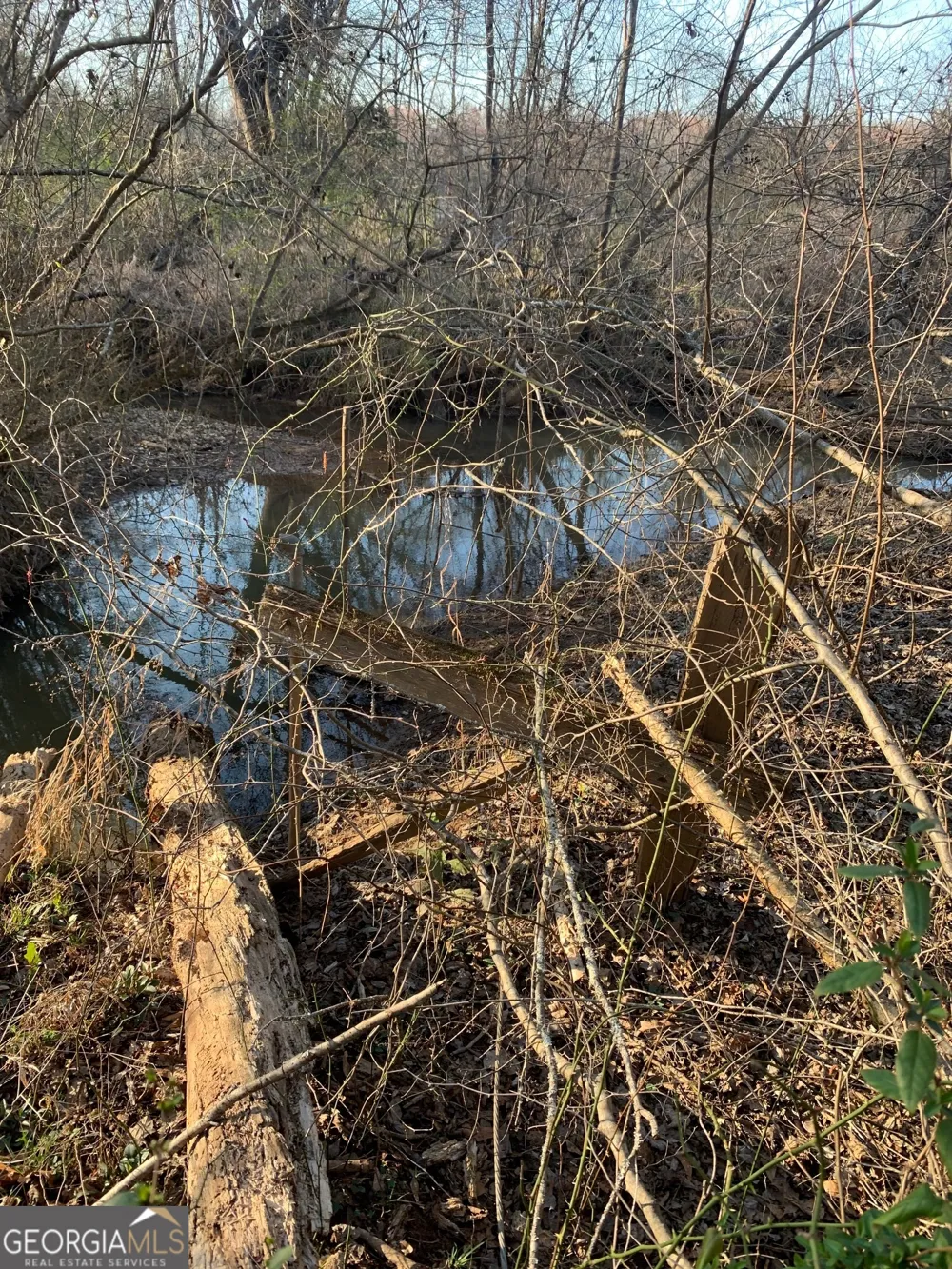 0 Sportsman Club Hogansville, GA 30230