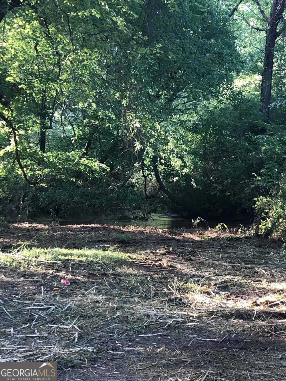 0 Sportsman Club Hogansville, GA 30230