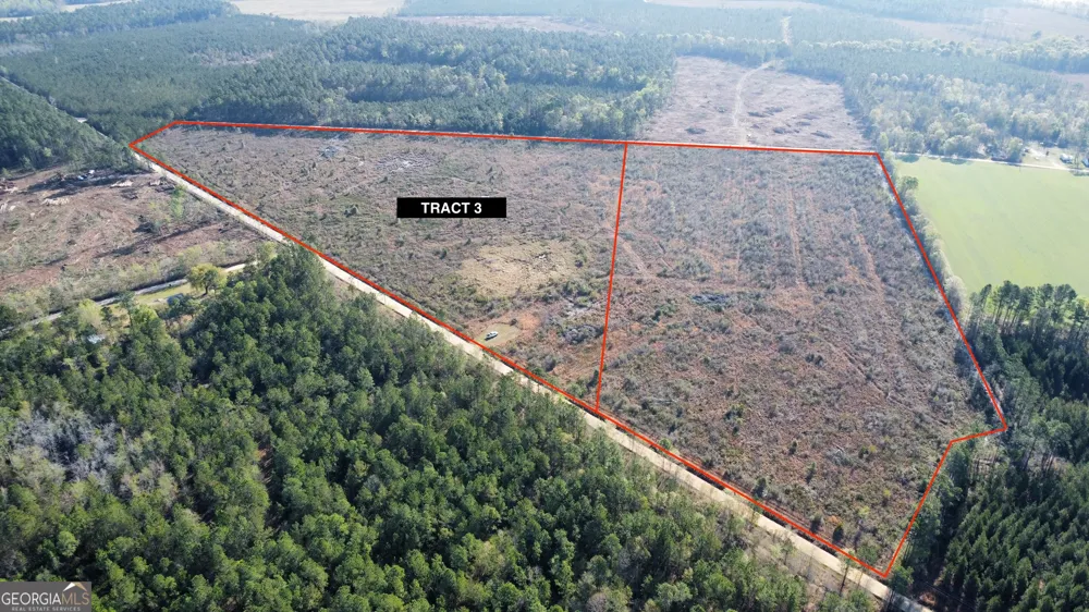 0 Graham Knight Road (Tract 3) Glennville, GA 30427