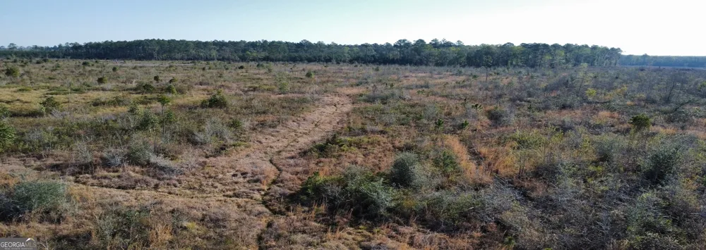 0 Graham Knight Road (Tract 3) Glennville, GA 30427