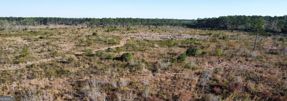 0 Graham Knight Road (Tract 3) Glennville, GA 30427