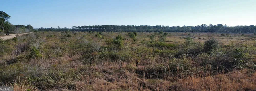 0 Graham Knight Road (Tract 3) Glennville, GA 30427