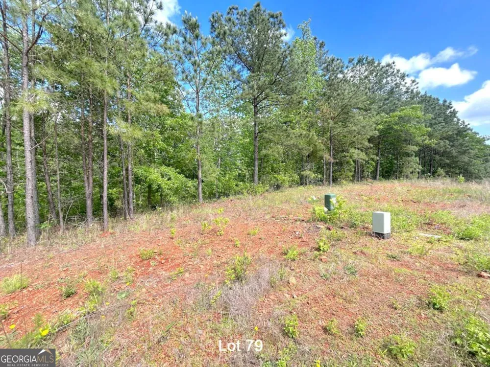 208 Oakdale WAY Temple, GA 30179