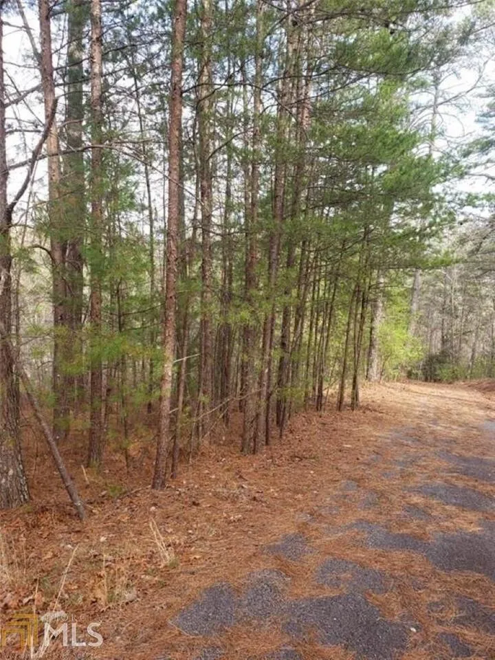 0 Live Oak LN Lakemont, GA 30552