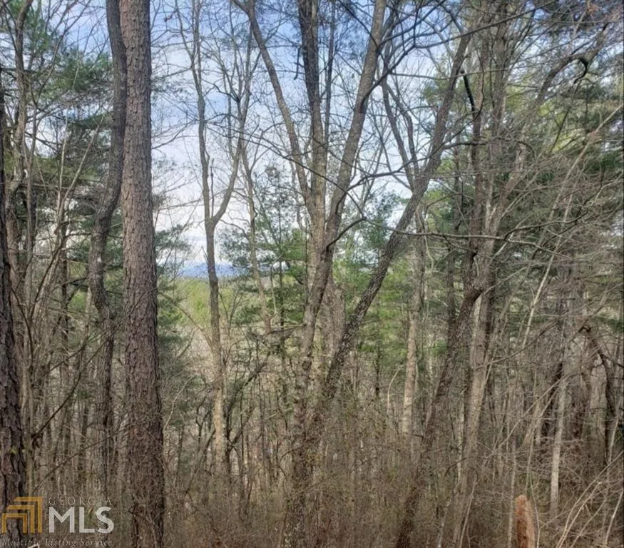 0 Live Oak LN Lakemont, GA 30552