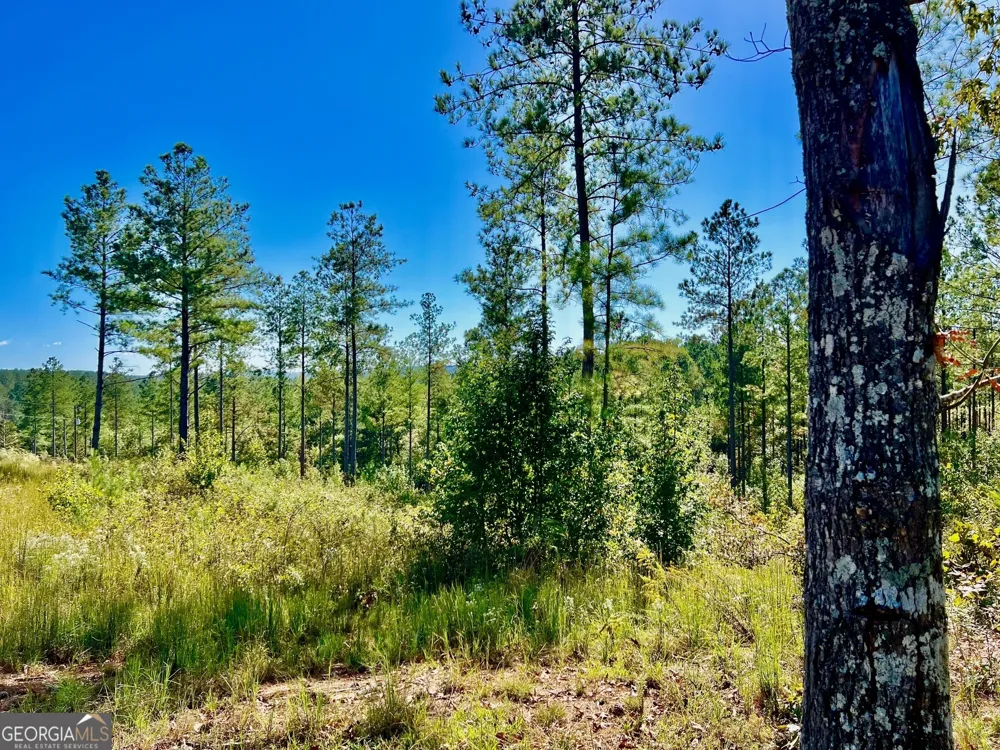 82 Barrell Knot CT Talking Rock, GA 30175