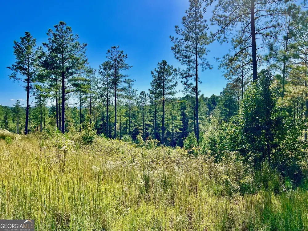 82 Barrell Knot CT Talking Rock, GA 30175