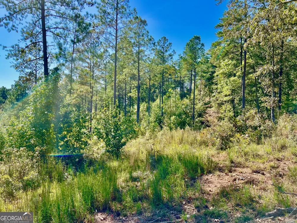 82 Barrell Knot CT Talking Rock, GA 30175