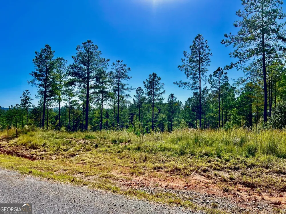 82 Barrell Knot CT Talking Rock, GA 30175