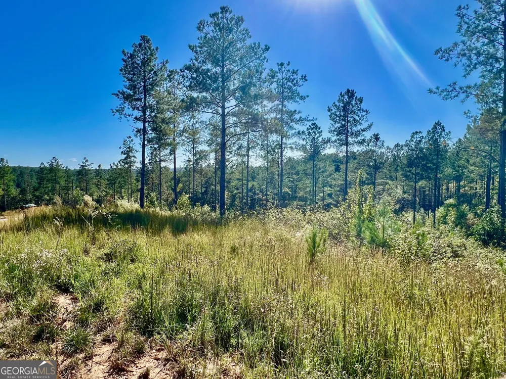 82 Barrell Knot CT Talking Rock, GA 30175