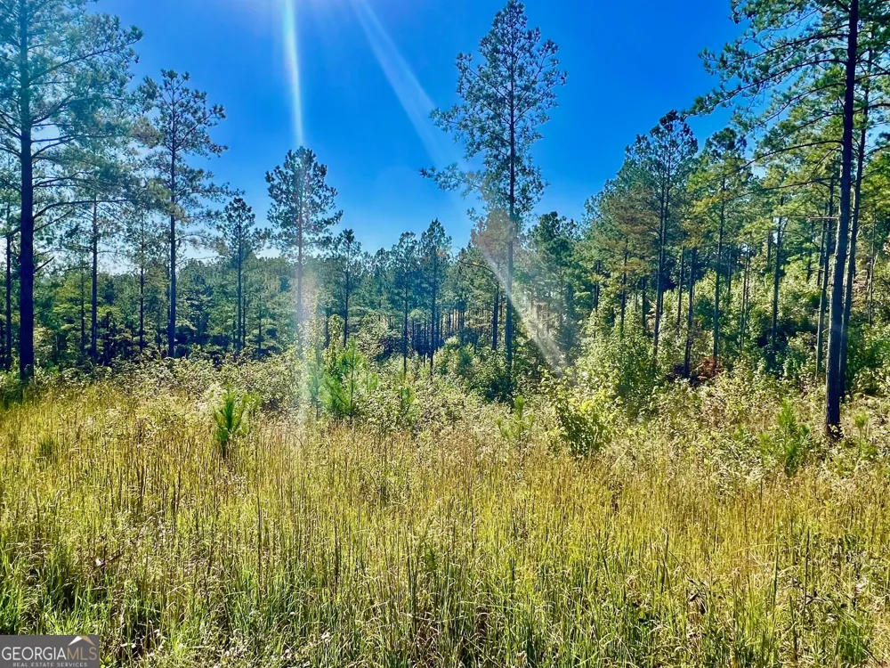 82 Barrell Knot CT Talking Rock, GA 30175