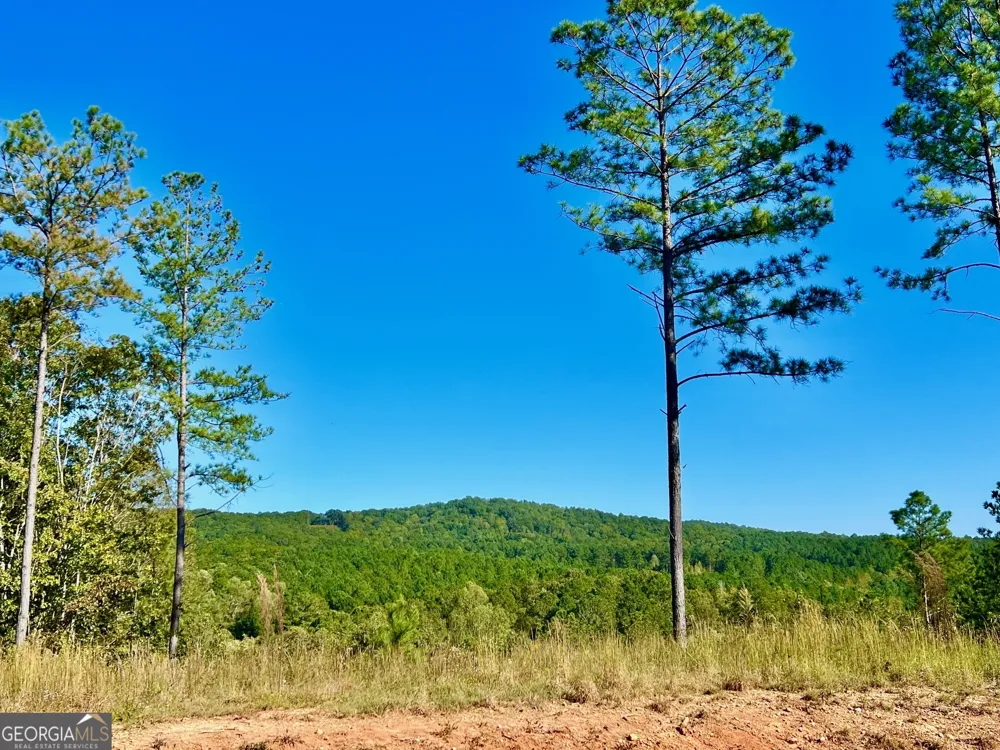82 Barrell Knot CT Talking Rock, GA 30175