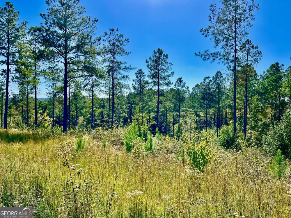 82 Barrell Knot CT Talking Rock, GA 30175