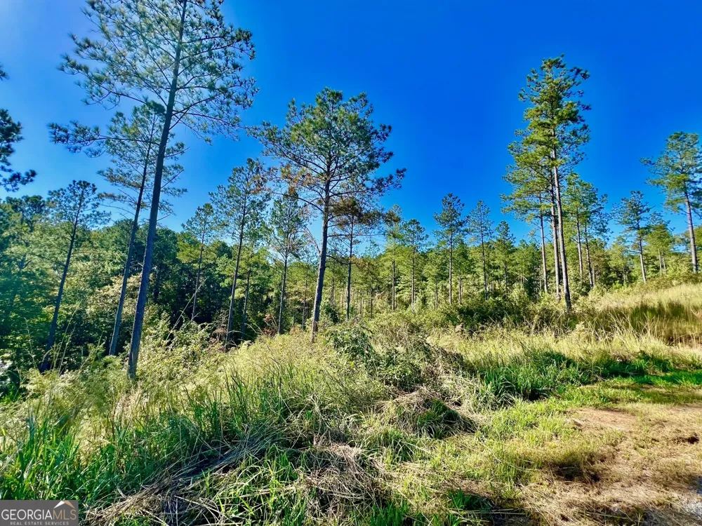 82 Barrell Knot CT Talking Rock, GA 30175