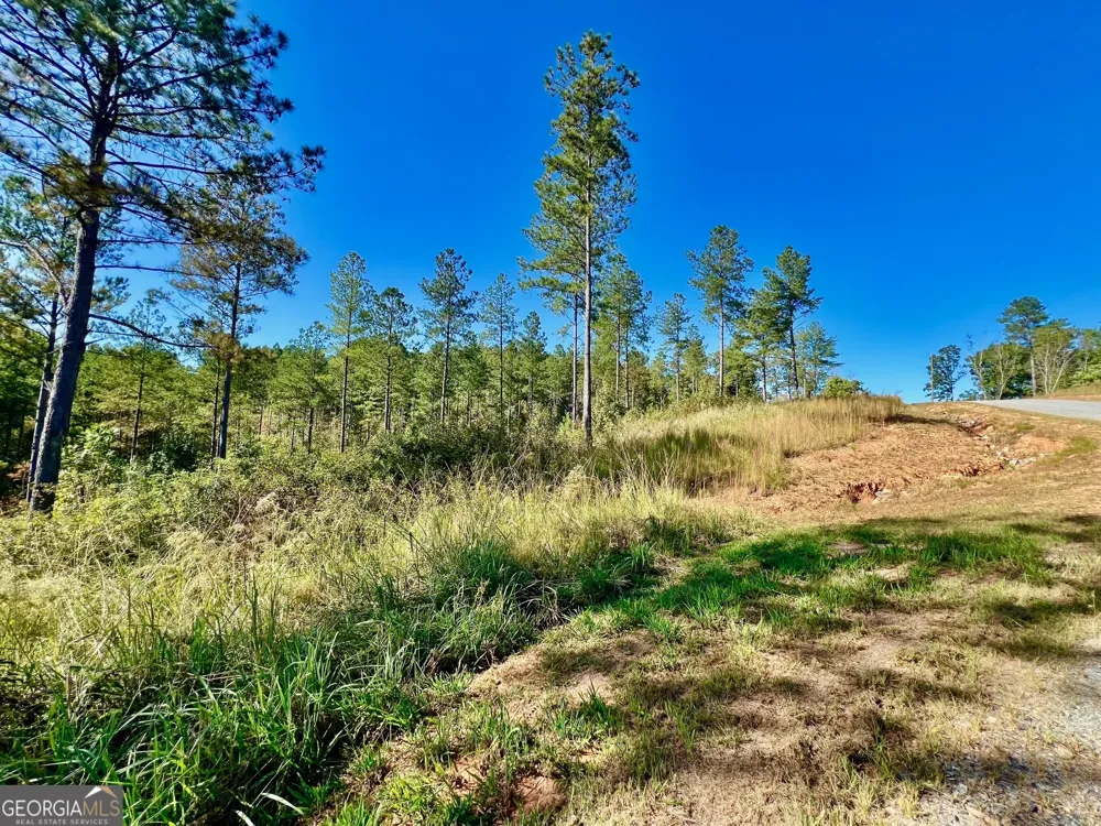 82 Barrell Knot CT Talking Rock, GA 30175