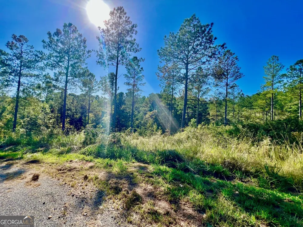 82 Barrell Knot CT Talking Rock, GA 30175
