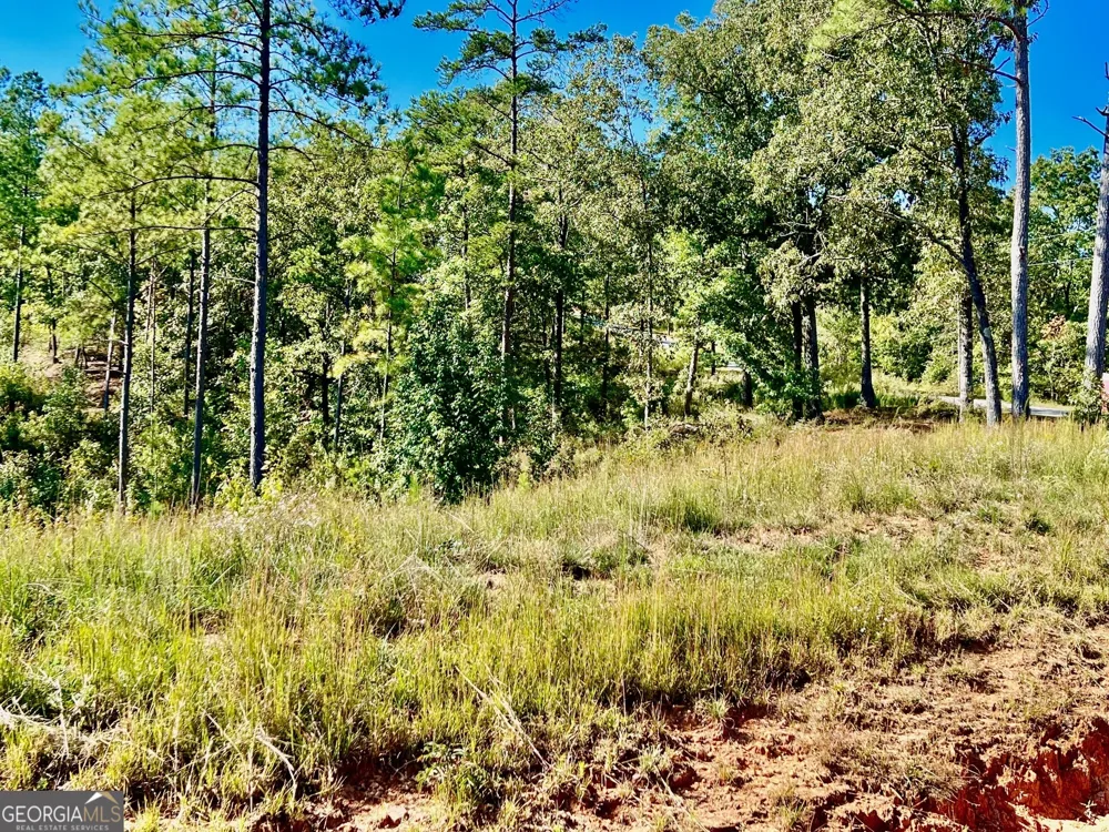 82 Barrell Knot CT Talking Rock, GA 30175