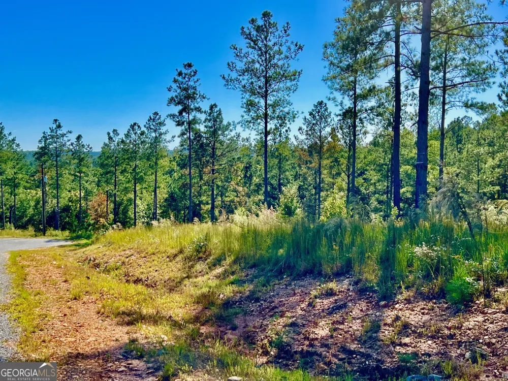 82 Barrell Knot CT Talking Rock, GA 30175
