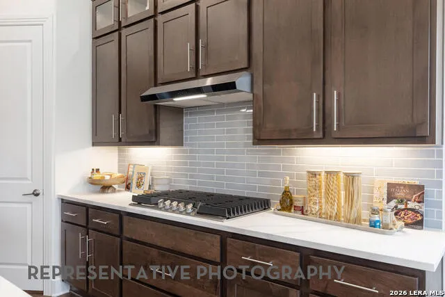 332 Puppy Dog Pass San Marcos, TX 78666
