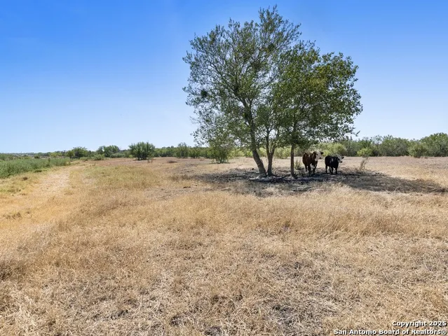 2415 Fm 1518 St Hedwig, TX 78152