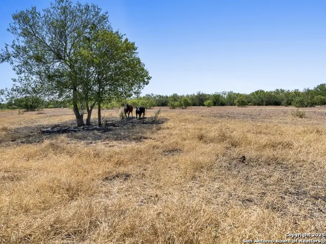 2415 Fm 1518 St Hedwig, TX 78152