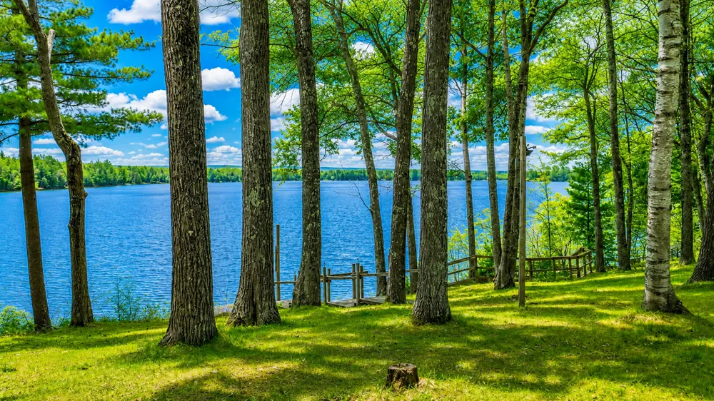 7042N Lake Shore Drive Couderay, WI 54828