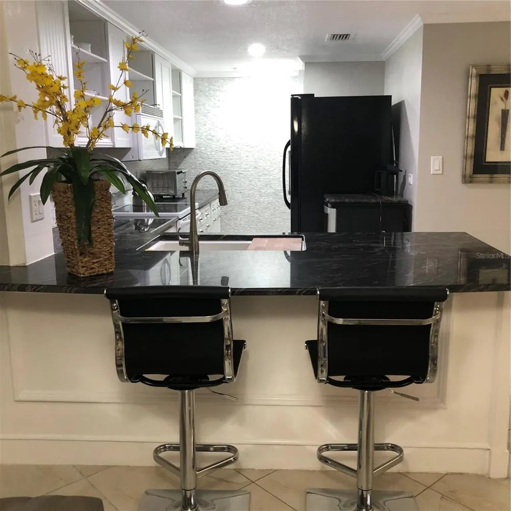 36750 US HIGHWAY 19 #19-115 Palm Harbor, FL 34683