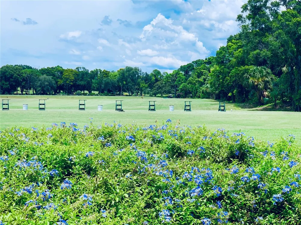 36750 US HIGHWAY 19 #19-115 Palm Harbor, FL 34683
