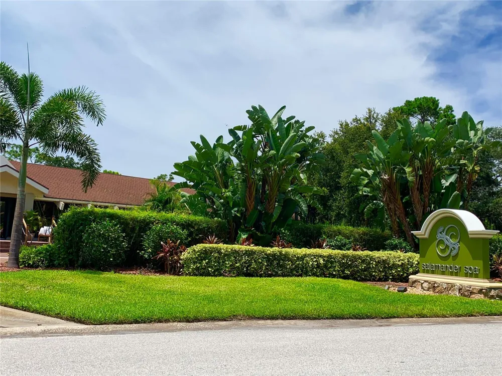 36750 US HIGHWAY 19 #19-115 Palm Harbor, FL 34683