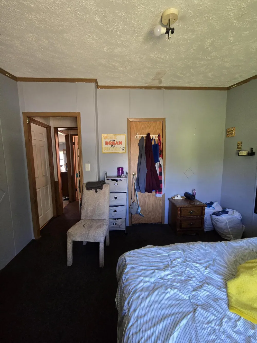 3384 E 56th Street Yates Township, MI 49623