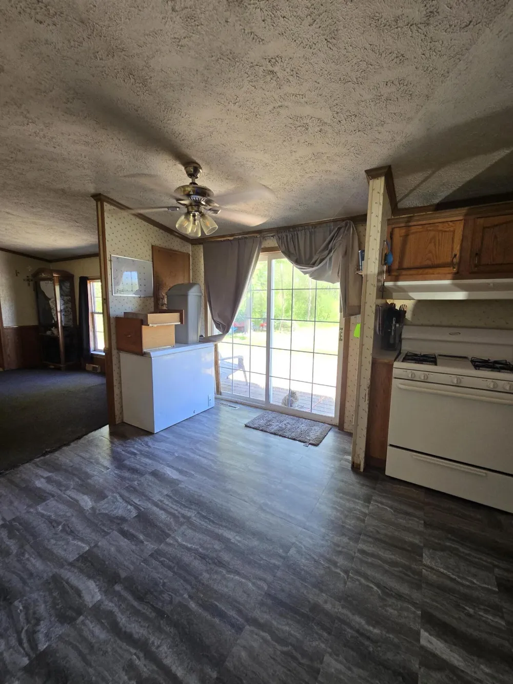 3384 E 56th Street Yates Township, MI 49623