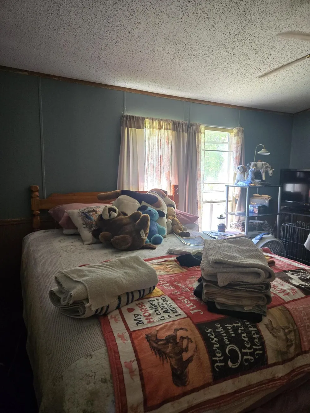 3384 E 56th Street Yates Township, MI 49623