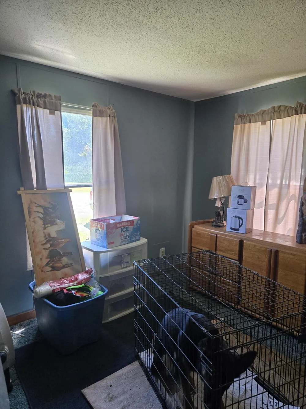 3384 E 56th Street Yates Township, MI 49623