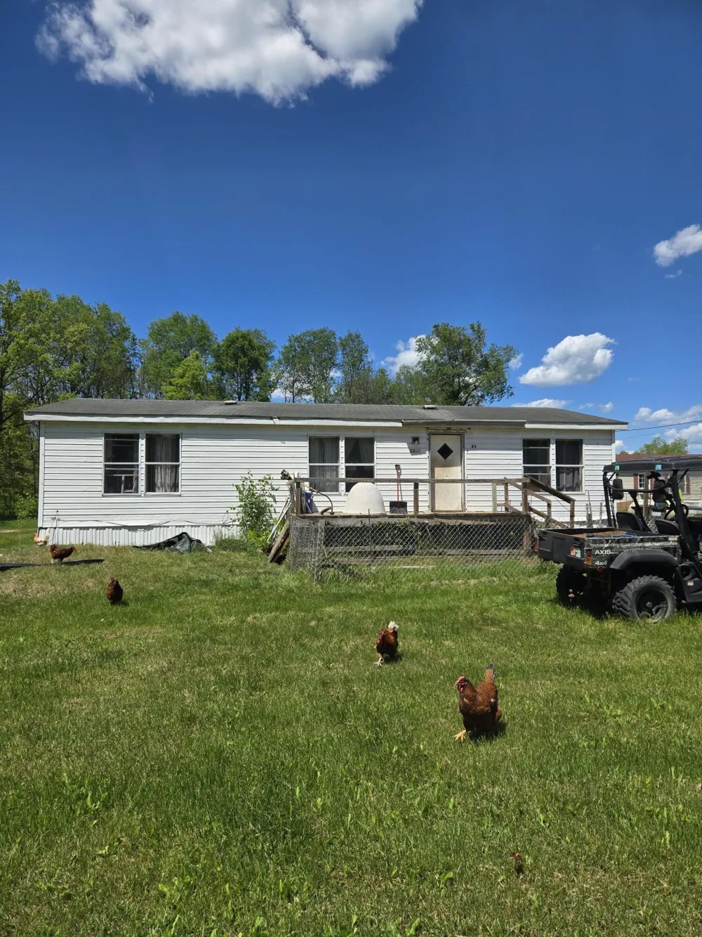 3384 E 56th Street Yates Township, MI 49623
