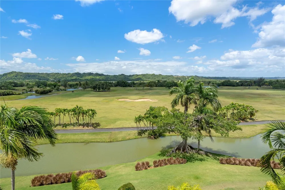 500 PLANTATION VILLAGE DRIVE #PH 2-403 Dorado, PR 00646