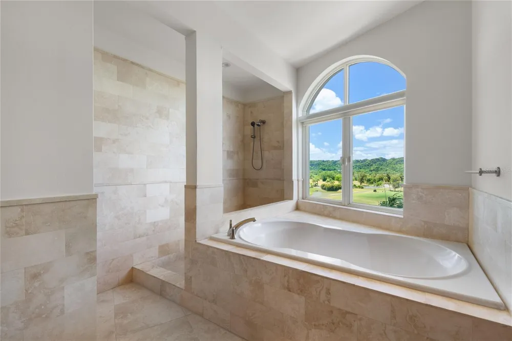 500 PLANTATION VILLAGE DRIVE #PH 2-403 Dorado, PR 00646