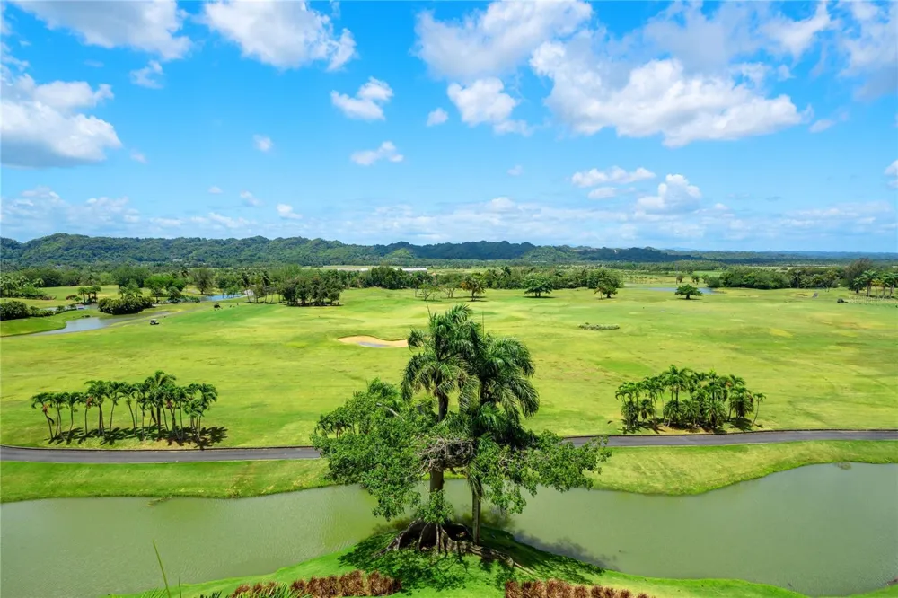 500 PLANTATION VILLAGE DRIVE #PH 2-403 Dorado, PR 00646