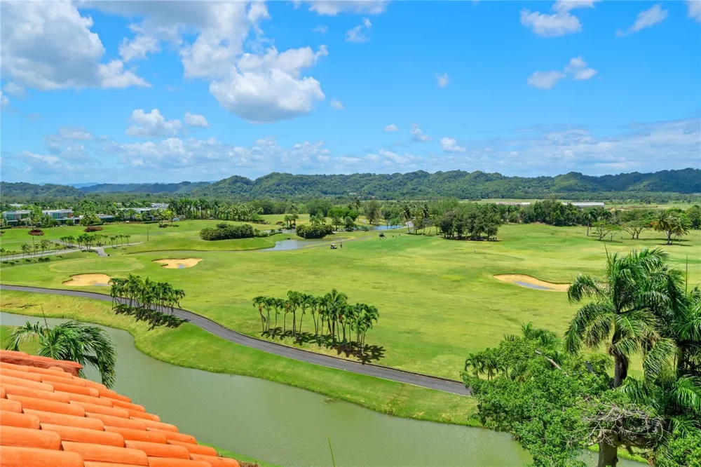 500 PLANTATION VILLAGE DRIVE #PH 2-403 Dorado, PR 00646
