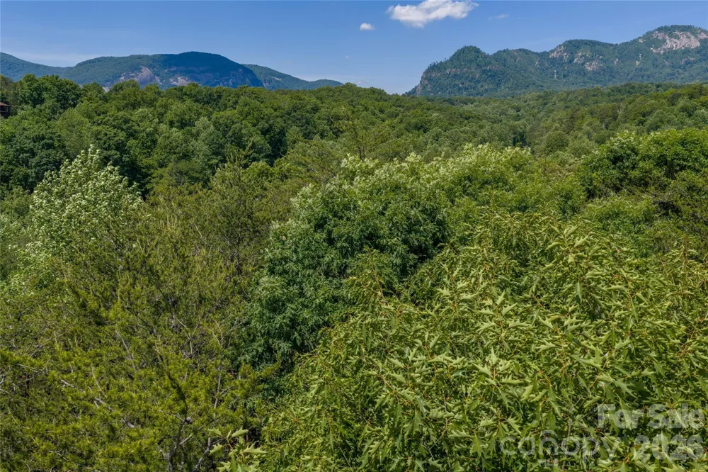 0000 View Trail Lake Lure, NC 28746