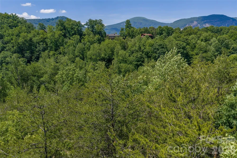 0000 View Trail Lake Lure, NC 28746