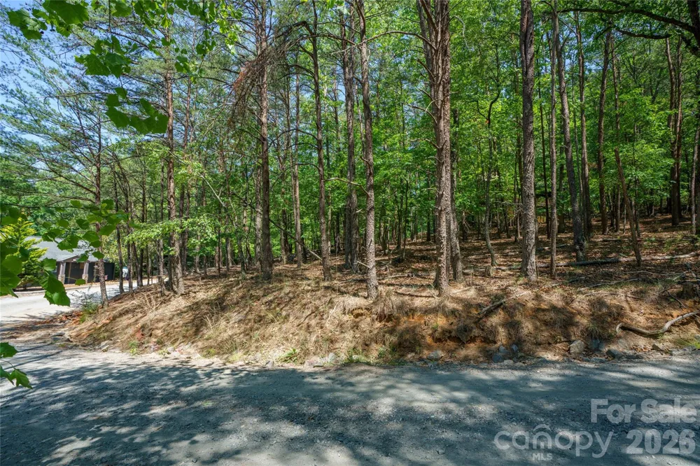 0000 View Trail Lake Lure, NC 28746