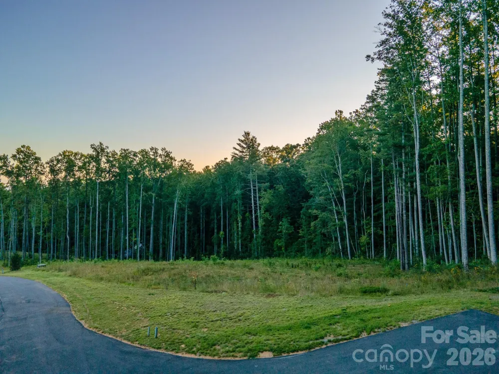 444 Irvine Drive Fairview, NC 28730
