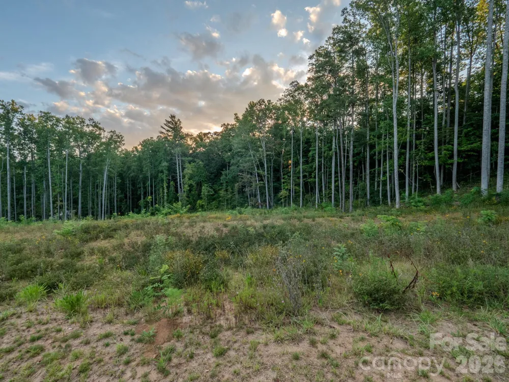 444 Irvine Drive Fairview, NC 28730